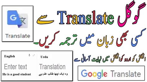 bet in urdu|Google Translate.